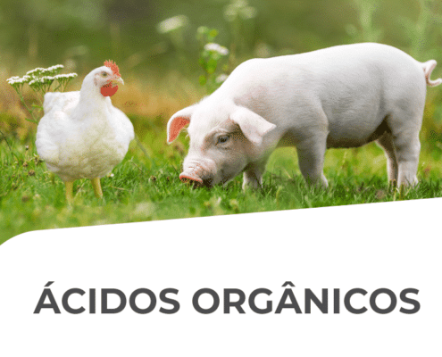 acidos organicos