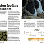 Innovative animal feed additives | Pancosma